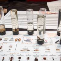 macroinvertebrate vials on an ID mat